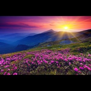 Meet your Posher, Lizzie